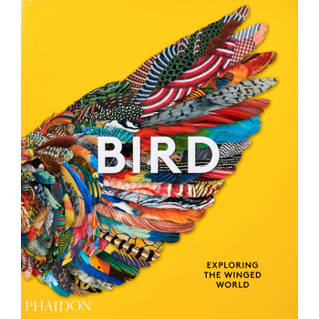 Bird (Hardback) bij Singel 344