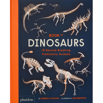 Book of Dinosaurs (Hardback) bij Singel 344