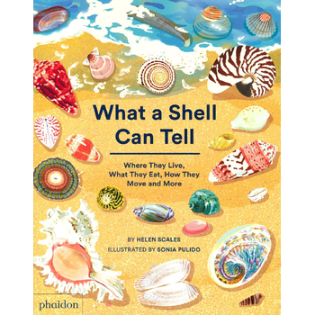 What A Shell Can Tell (Hardback) bij Singel 344