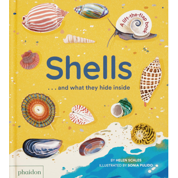 Shells... and what they hide inside (Board book) bij Singel 344