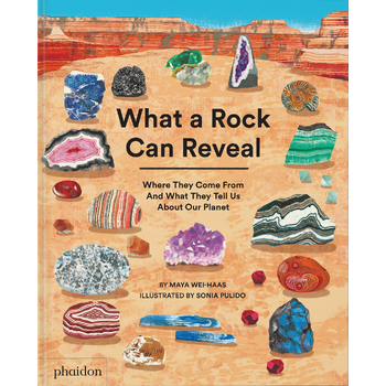 What a Rock Can Reveal (Hardback) bij Singel 344