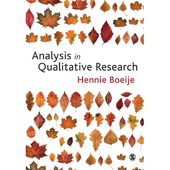 Analysis in Qualitative Research (Paperback) bij Singel 344