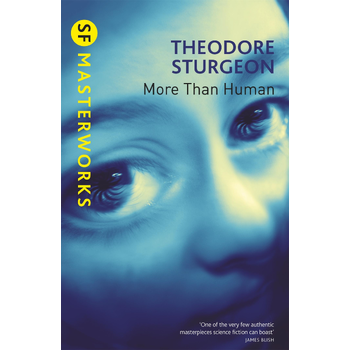 More Than Human (Paperback) bij Singel 344