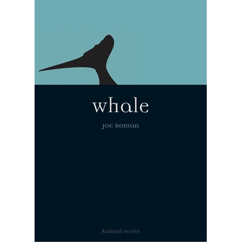 Whale (Paperback) bij Singel 344