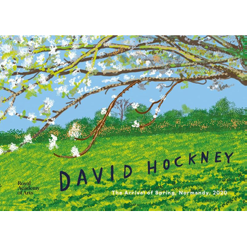 David Hockney (Hardback) bij Singel 344