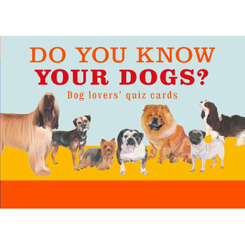 Do You Know Your Dogs? bij Singel 344