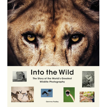 Into the Wild (Hardback) bij Singel 344