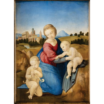 Michelangelo, Leonardo, Raphael (Hardback) bij Singel 344