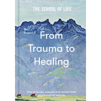 From Trauma to Healing (Hardback) bij Singel 344