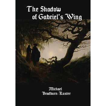 The Shadow of Gabriel's Wing (Paperback) bij Singel 344