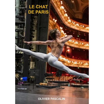 LE CHAT DE PARIS (Paperback) bij Singel 344
