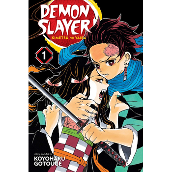 Demon Slayer: Kimetsu no Yaiba, Vol. 1 (Paperback) bij Singel 344