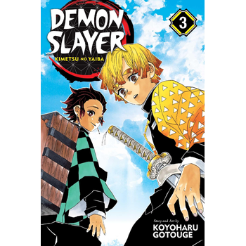 Demon Slayer: Kimetsu no Yaiba, Vol. 3 (Paperback) bij Singel 344