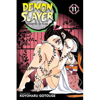 Demon Slayer: Kimetsu no Yaiba, Vol. 11 (Paperback) bij Singel 344