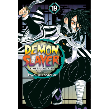Demon Slayer: Kimetsu no Yaiba, Vol. 19 (Paperback) bij Singel 344