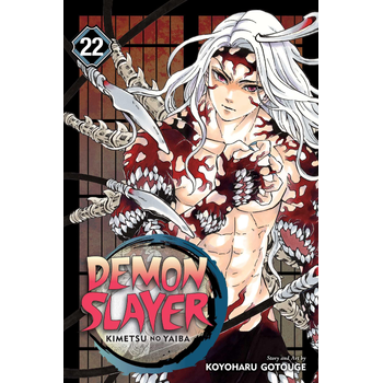 Demon Slayer: Kimetsu no Yaiba, Vol. 22 (Paperback) bij Singel 344
