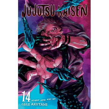 Jujutsu Kaisen, Vol. 14 (Paperback) bij Singel 344
