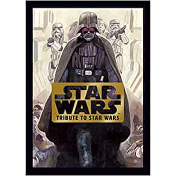 Star Wars: Tribute to Star Wars (Hardback) bij Singel 344