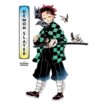 Art of Demon Slayer: Kimetsu no Yaiba (Hardback) bij Singel 344