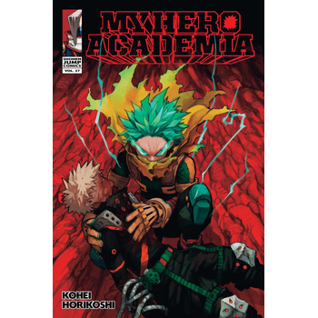 My Hero Academia, Vol. 37 (Paperback) bij Singel 344