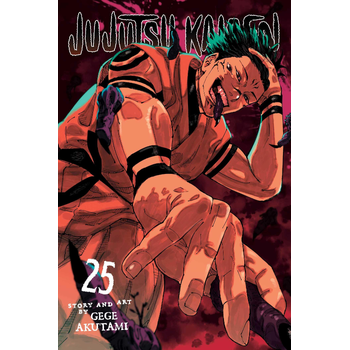 Jujutsu Kaisen, Vol. 25 (Paperback) bij Singel 344