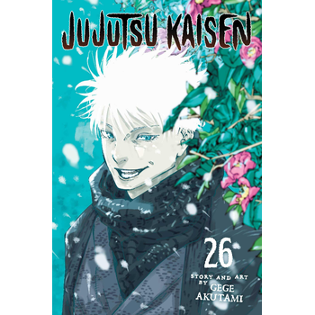 Jujutsu Kaisen, Vol. 26 (Paperback) bij Singel 344