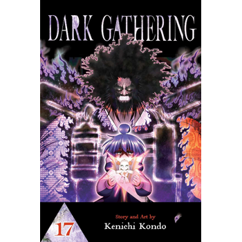 Dark Gathering, Vol. 17 (Paperback) bij Singel 344
