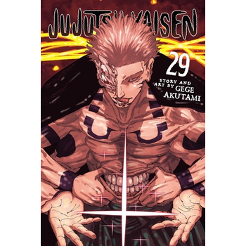 Jujutsu Kaisen, Vol. 29 (Paperback) bij Singel 344