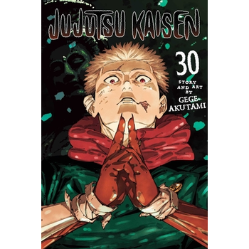 Jujutsu Kaisen, Vol. 30 (Paperback) bij Singel 344