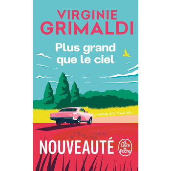 Plus grand que le ciel (Paperback) bij Singel 344