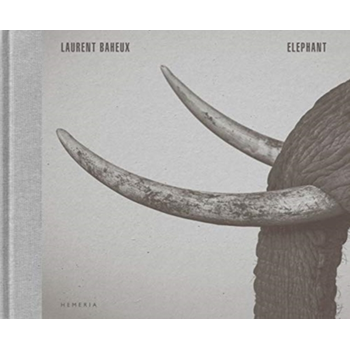 Elephant (Hardback) bij Singel 344
