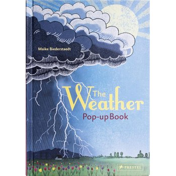 The Weather (Hardback) bij Singel 344