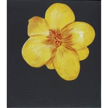 Jörg Immendorff: For All Beloved In The World (Paperback) bij Singel 344