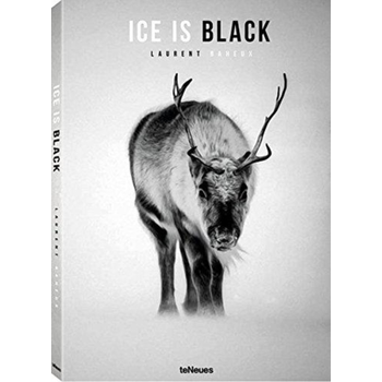 Ice is Black (Hardback) bij Singel 344