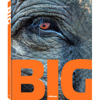 Big (Hardback) bij Singel 344