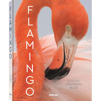 Flamingo (Hardback) bij Singel 344