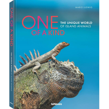 One of a Kind (Hardback) bij Singel 344