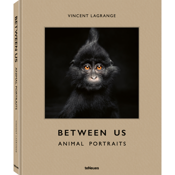 Between Us (Hardback) bij Singel 344