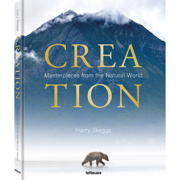 Creation (Hardback) bij Singel 344