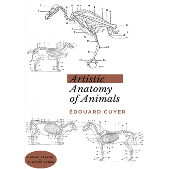 Artistic Anatomy of Animals (Paperback) bij Singel 344