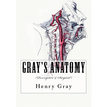 Gray's Anatomy (Paperback) bij Singel 344