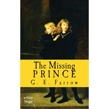 The Missing Prince (Paperback) bij Singel 344