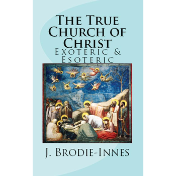 The True Church of Christ (Paperback) bij Singel 344