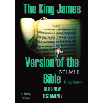 The King James Version of the Bible (Paperback) bij Singel 344