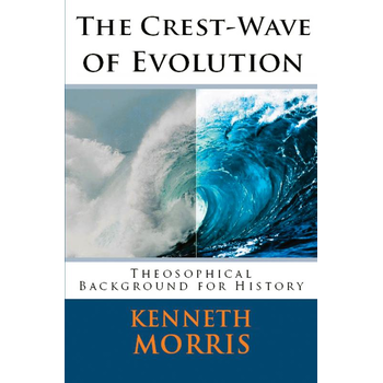 The Crest Wave of Evolution (Paperback) bij Singel 344