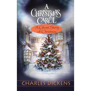 A Christmas Carol (Paperback) bij Singel 344