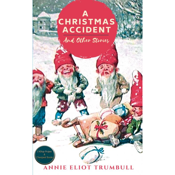 A Christmas Accident and Other Stories (Paperback) bij Singel 344
