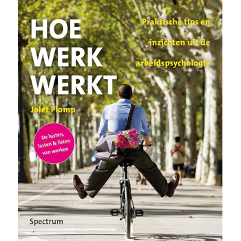 Hoe werk werkt (Paperback) bij Singel 344