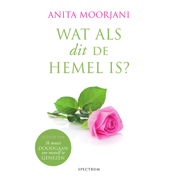 Wat als dit de hemel is? (Paperback) bij Singel 344