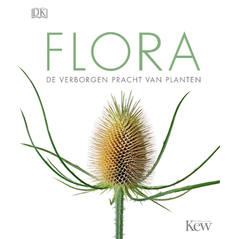 Flora (Hardback) bij Singel 344